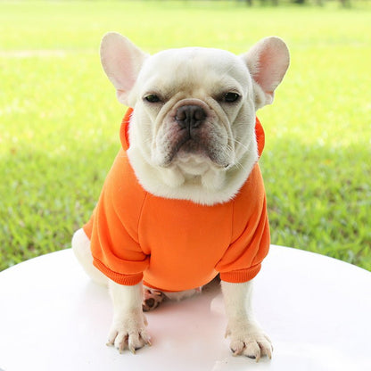 Pull pour chien | JappyMood™ - Jappy Toutou