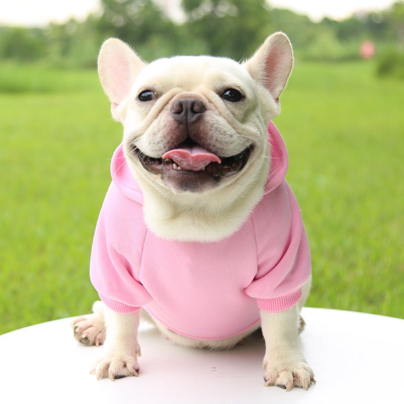 Pull pour chien | JappyMood™ - Jappy Toutou