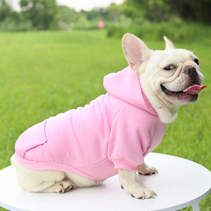 Pull pour chien | JappyMood™ :  Idéal races de petits gabarits