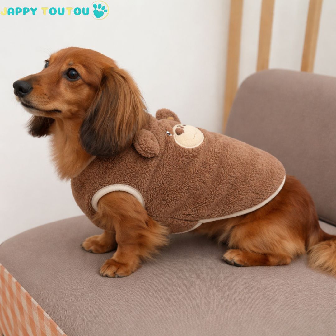 Pull pour Chien | JappySnug™ Ourson - Jappy Toutou