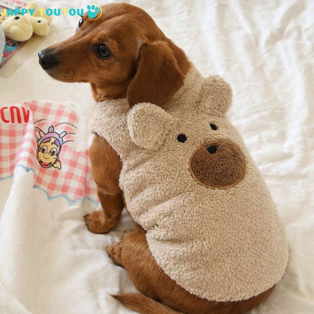 Pull pour Chien | JappySnug™ Ourson - Jappy Toutou