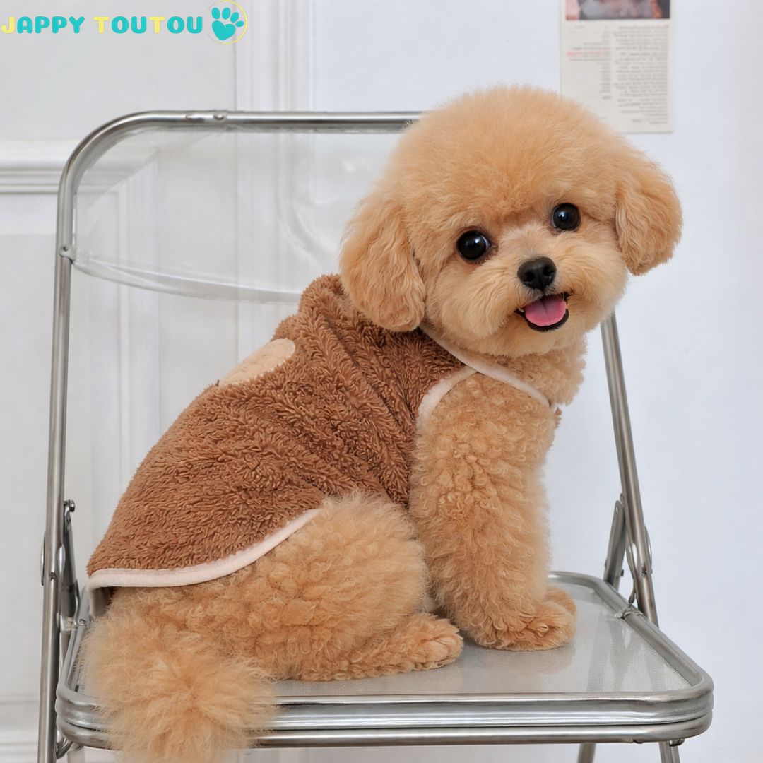 Pull pour Chien | JappySnug™ Ourson - Jappy Toutou