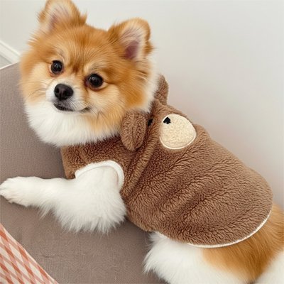 Pull pour Chien | JappySnug™ Ourson - Jappy Toutou