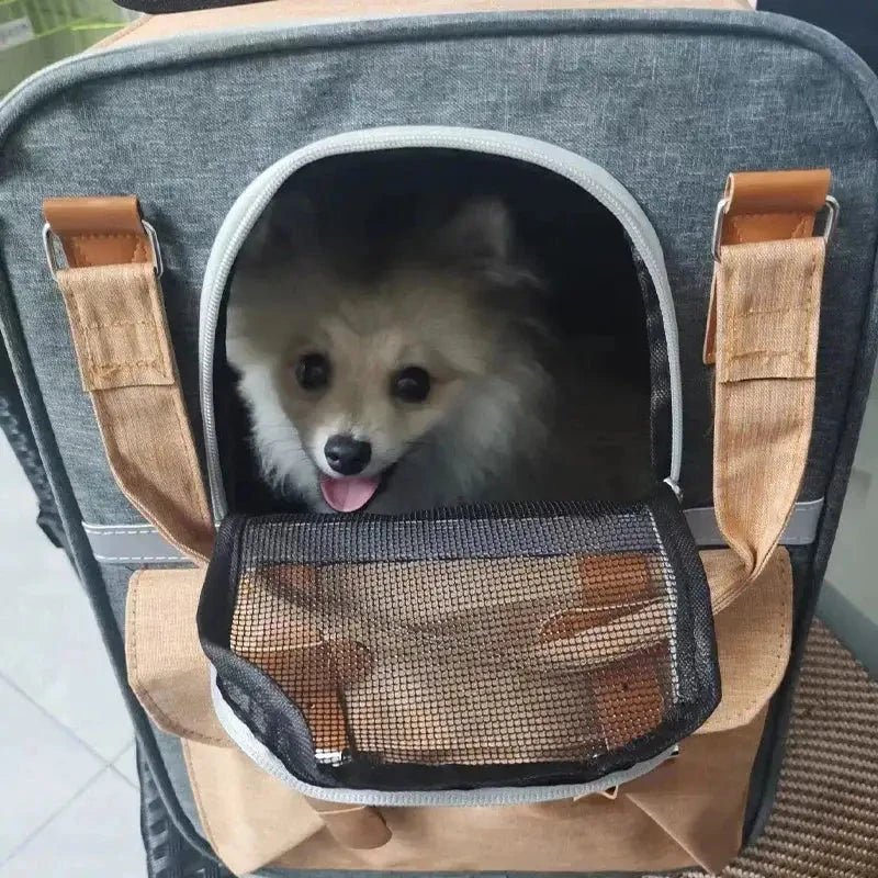 Sac A Dos Chien - PratikWouf™ confort et praticité en déplacement - Jappy Toutou