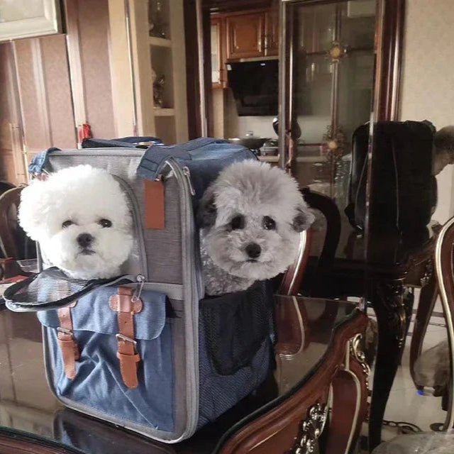 Sac A Dos Chien - PratikWouf™ confort et praticité en déplacement - Jappy Toutou