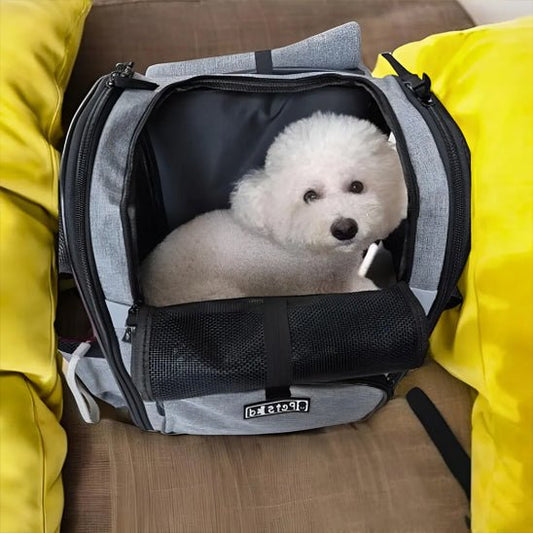 Sac a dos chien | ToutouTrail™ : L'indispensable pour aventures canines - Jappy Toutou