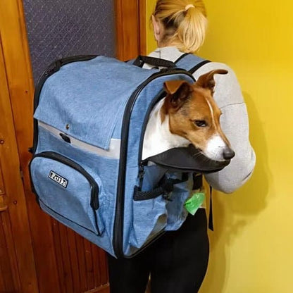 Sac a dos chien |  ToutouTrail™ : L'indispensable pour aventures canines - Jappy Toutou