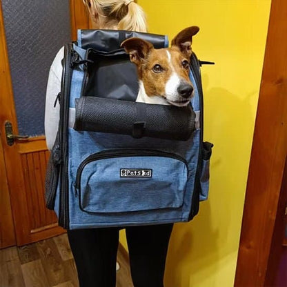 Sac a dos chien | ToutouTrail™ : L'indispensable pour aventures canines - Jappy Toutou