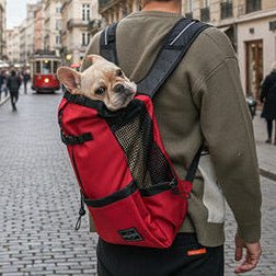 Sac à dos pour Chien | JappyTouPorter™ - Jappy Toutou