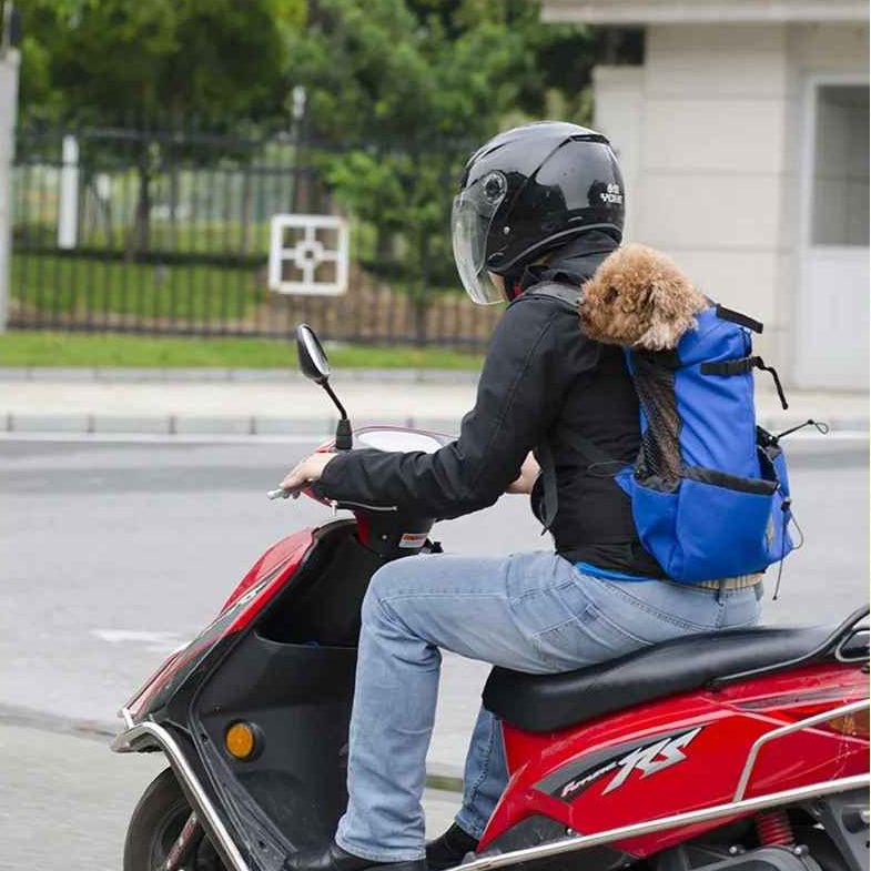 Sac à dos pour Chien | JappyTouPorter™ - Jappy Toutou