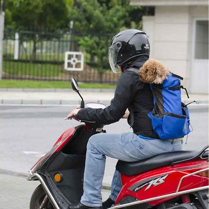 Sac à dos pour Chien | JappyTouPorter™ - Jappy Toutou