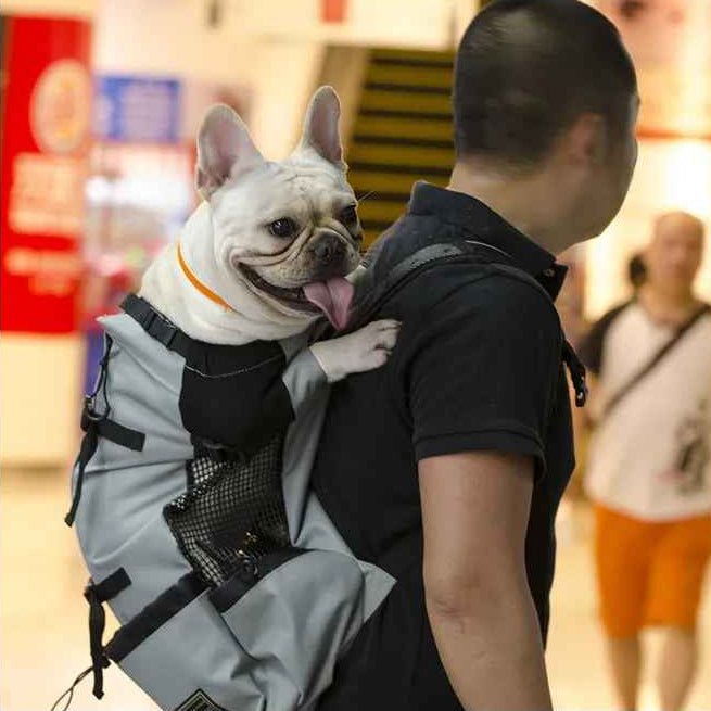 Sac à dos pour Chien | JappyTouPorter™ - Jappy Toutou