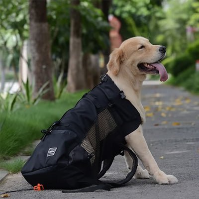 Sac à dos pour Chien | JappyTouPorter™ - Jappy Toutou