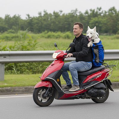 Sac à dos pour Chien | JappyTouPorter™ - Jappy Toutou