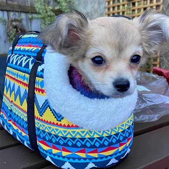 Sac A Dos Pour Chien | PortaChien™ : Aventures complice à quatre pattes - Jappy Toutou