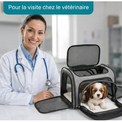 Sac de transport pour Chien | Jappy en Escapade™ - Jappy Toutou
