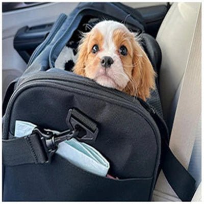 Sac de transport pour chien | Sacaventure™ - Voyagez avec confort - Jappy Toutou
