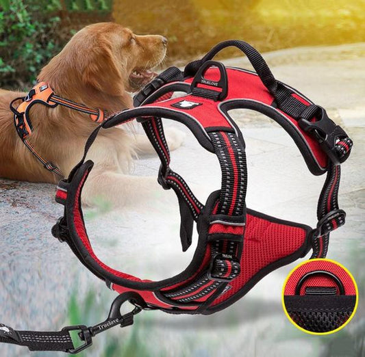 SafetyHarness™ - Harnais pour animal de compagnie - www.JappyToutou.com