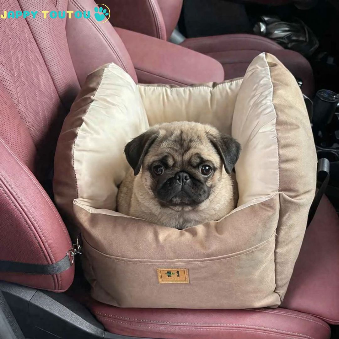 Siege auto pour chien | JappyCocon™ Confort - Jappy Toutou