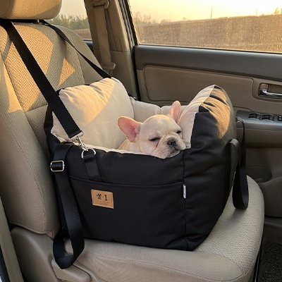 Siege auto pour chien | JappyCocon™ Confort - Jappy Toutou
