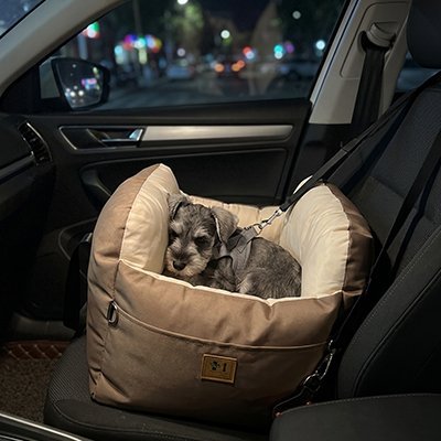 Siege auto pour chien | JappyCocon™ Confort - Jappy Toutou