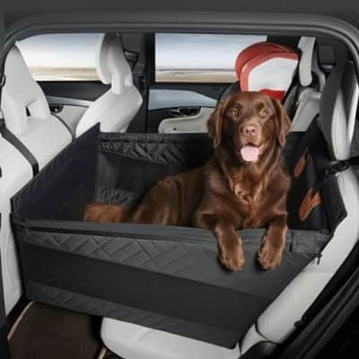 SIEGE auto pour chien | JappyConduite Sûre™ - Jappy Toutou