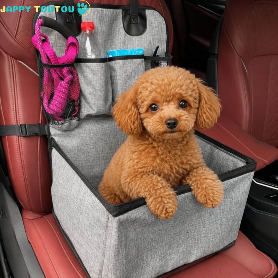 SIEGE auto pour chien | JappyCoPilote™ - Jappy Toutou