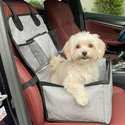 SIEGE auto pour chien | JappyCoPilote™ - Jappy Toutou