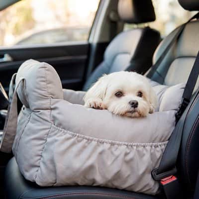 Siege auto pour chien | JappyDouillet2™ - Jappy Toutou