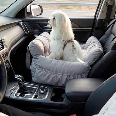 Siege auto pour chien | JappyDouillet2™ - Jappy Toutou