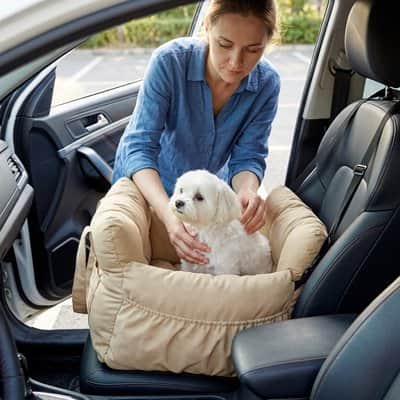 Siege auto pour chien | JappyDouillet2™ - Jappy Toutou