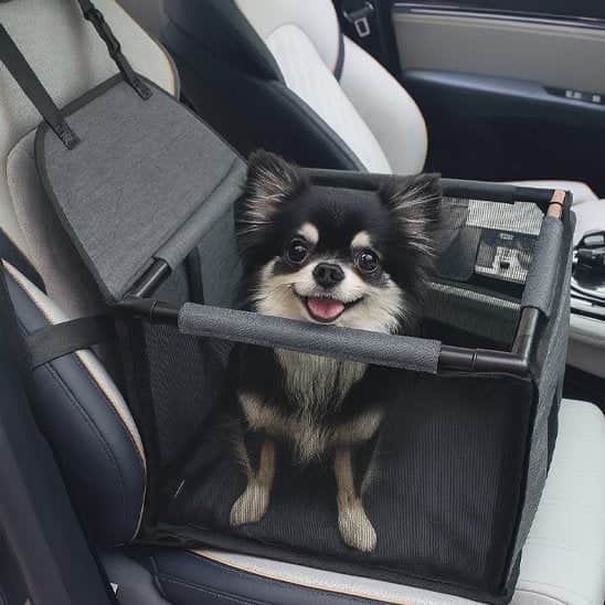 SIEGE auto pour chien | JappyNomade™ - Jappy Toutou