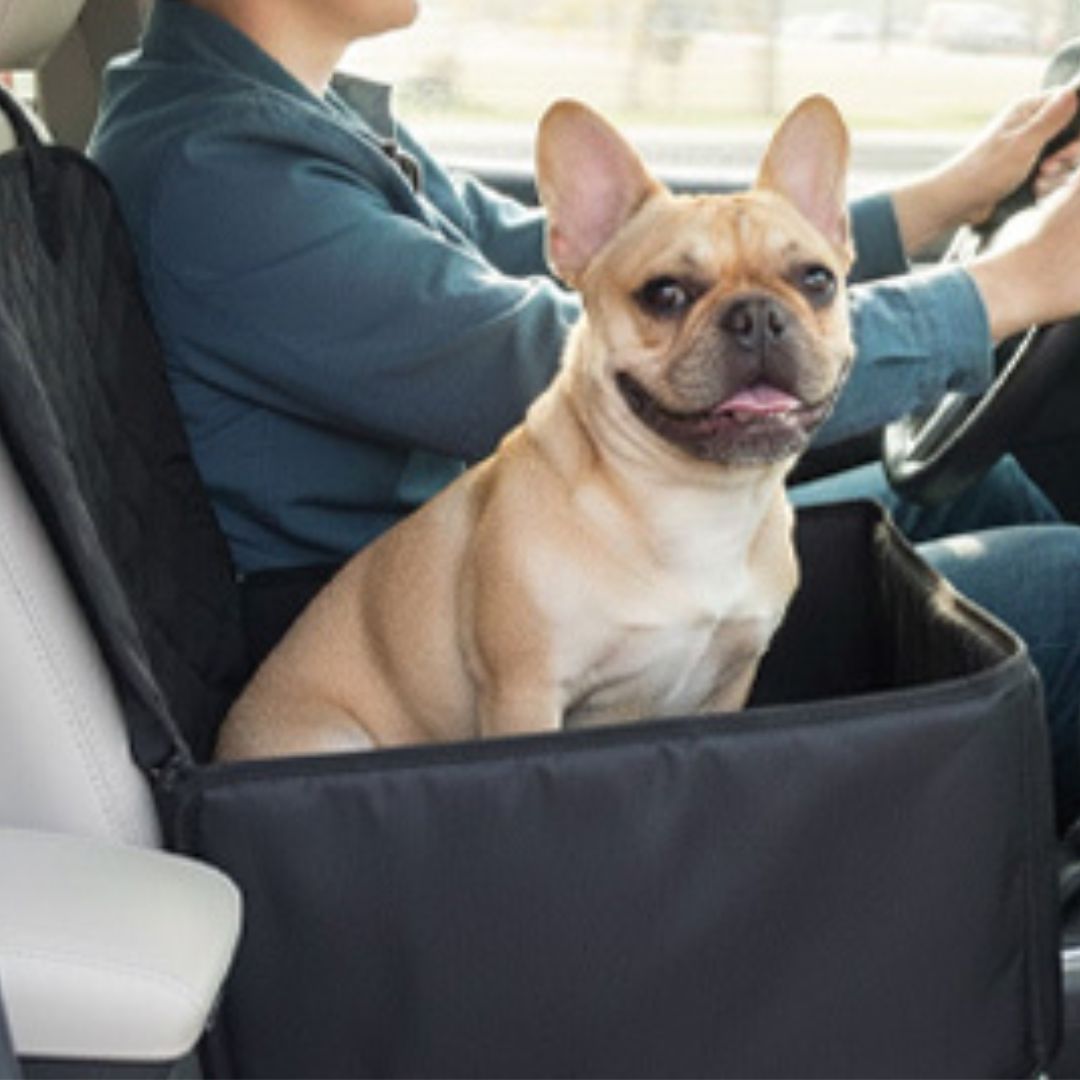 Siege auto pour chien | JappySecureSeat™ Ultra - sécurisé - Jappy Toutou