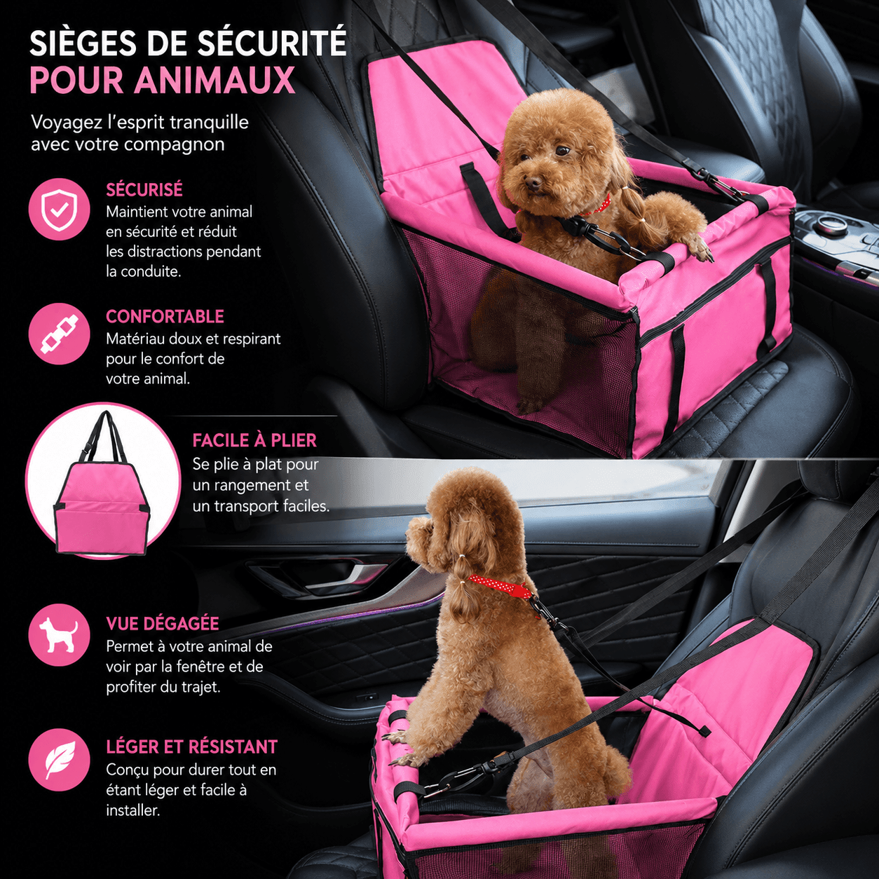 Siege auto pour chien | JappySiegeFlex2™ - Jappy Toutou