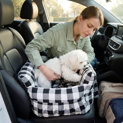 Siege auto pour chien | JappytoutDouillet™ - Jappy Toutou