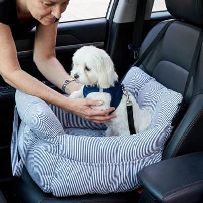 Siege auto pour chien | JappytoutDouillet™ - Jappy Toutou
