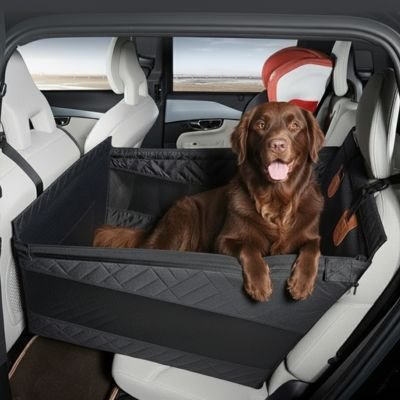 Siege auto pour chien•JappyConduite Sûre™ : Installation universelle