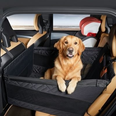 Siege auto pour chien•JappyConduite Sûre™ : Visibilité optimale