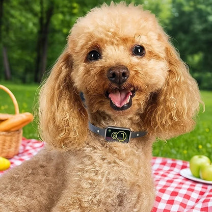 Confort et design du Collier anti aboiement petit chien | AntiBark™