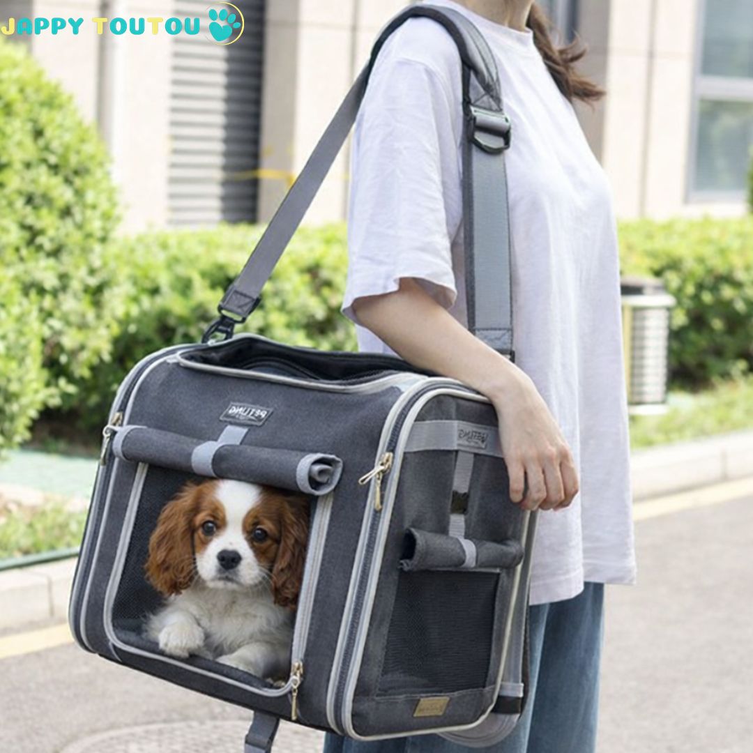 Vélo Panier chien | Jappy3Way™ multifonction - Jappy Toutou