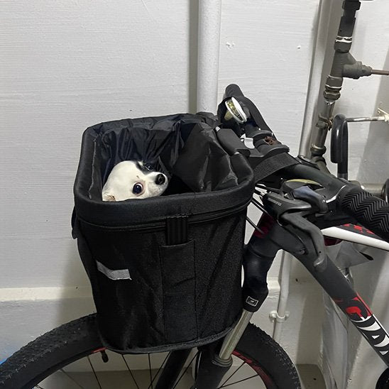 Vélo panier chien • JappyBike Buddy™ Confortable - Jappy Toutou