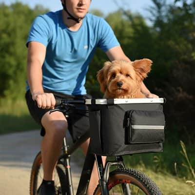 Vélo panier Chien | JappyNomade Luxe™ Sécurisé - Jappy Toutou