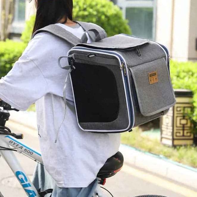 vélo panier chien | TouTouGo™ : multifonction - Jappy Toutou