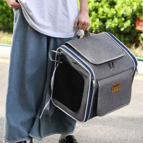 vélo panier chien | TouTouGo™ : multifonction - Jappy Toutou