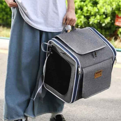 vélo panier chien | TouTouGo™ : multifonction - Jappy Toutou