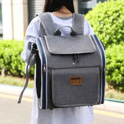 vélo panier chien | TouTouGo™ : multifonction - Jappy Toutou