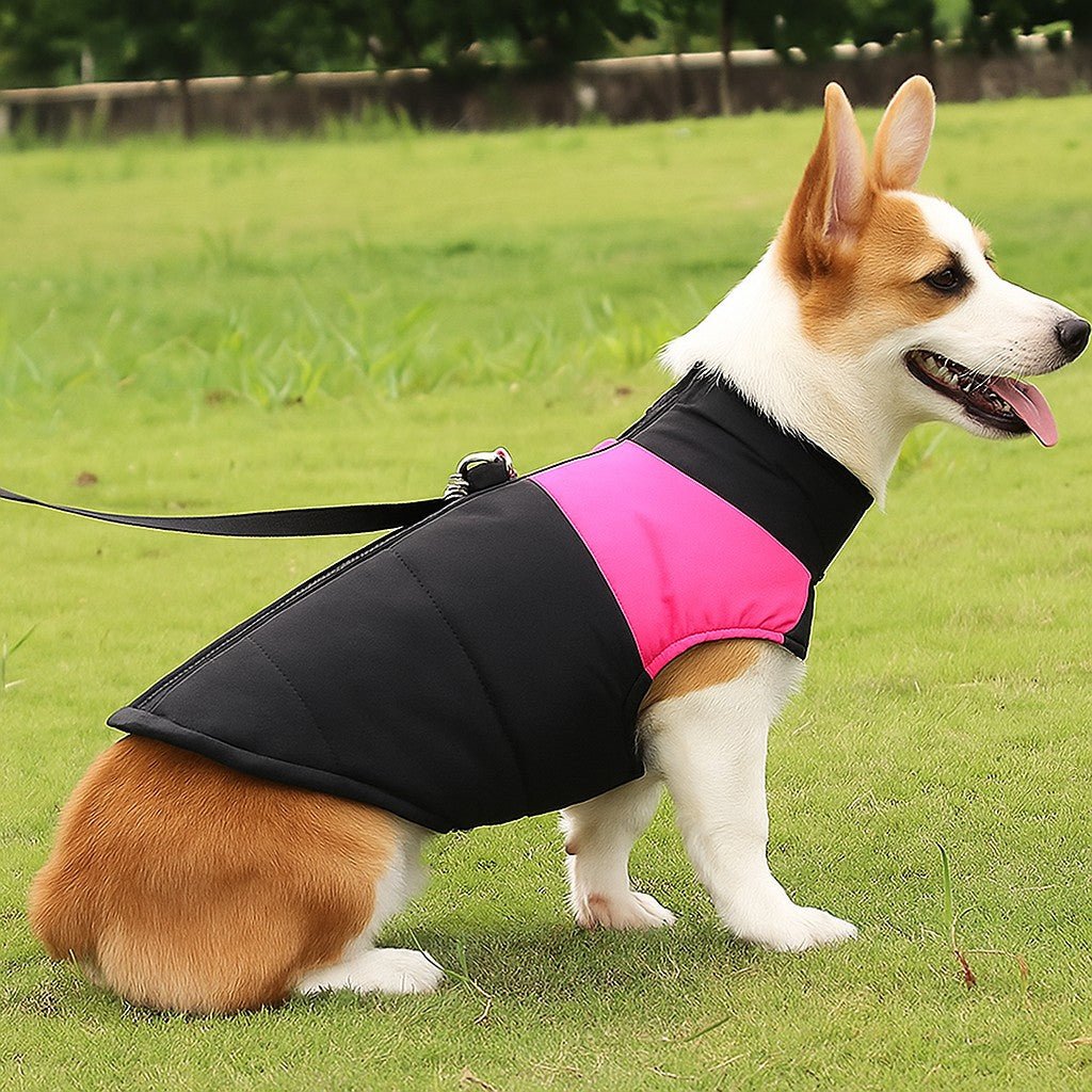 Vêtement chien | Douillette Saisonnière - Jappy Toutou