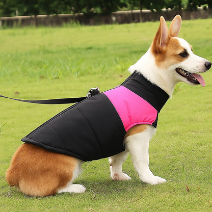 Vêtement chien | Douillette Saisonnière - Jappy Toutou