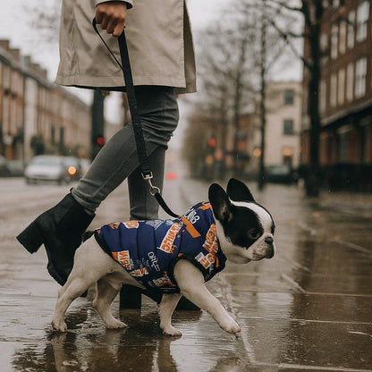 Vêtement chien | Douillette Toutes Saisons - Jappy Toutou