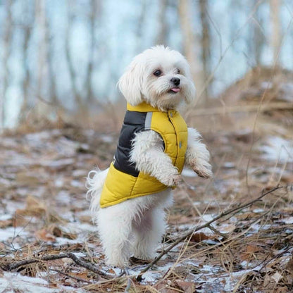 Vêtement chien | Douillette Toutes Saisons - Jappy Toutou